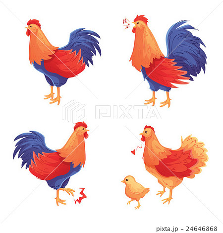 Colorful set of rooster, hen and baby chick 24646868