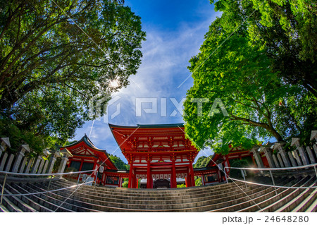 【滋賀県】近江神宮 24648280