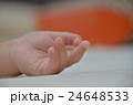 baby 24648533