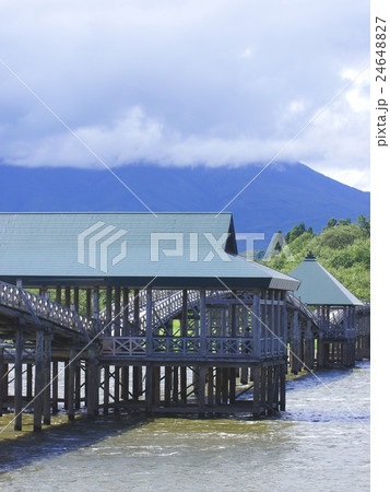 青森　鶴の舞橋　タテ 24648827