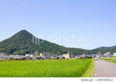 ある夏の日、愛宕山を見上げて3 24648922