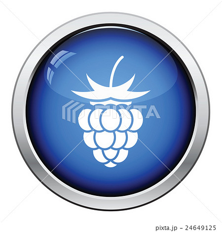 Icon of Raspberry 24649125