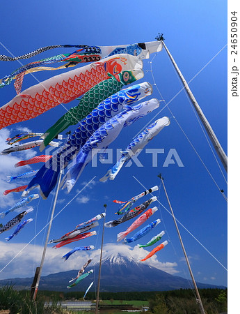 富士山と鯉のぼり 24650904