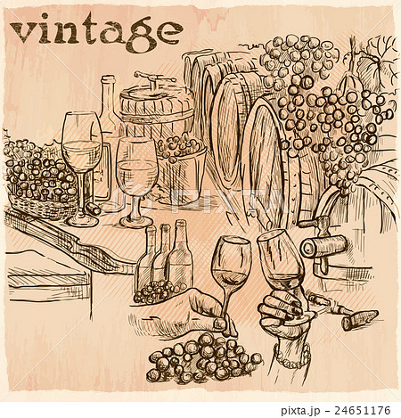 Vintage. Wine Cellar. An hand drawn vector. 24651176
