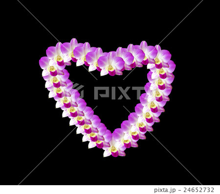 Flower Flower 24652732
