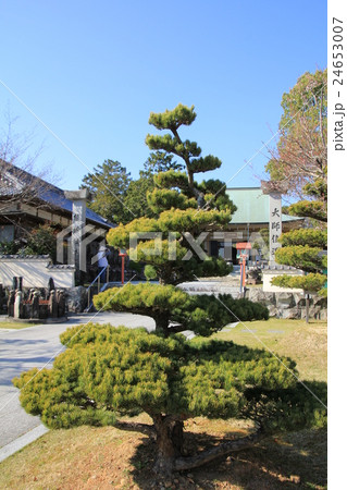 四国霊場第40番札所　観自在寺境内  24653007