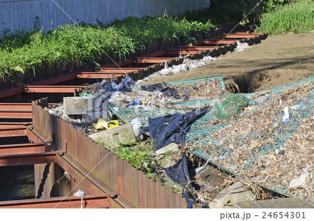 台風のあと 24654301