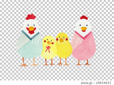 にわとり 親子 にわとり 親子 24654631