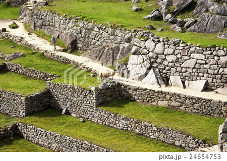 マチュピチュ　メイン広場から見た石組み 24654753