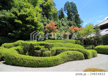 甲賀市 大池寺 甲賀市 大池寺 24654832