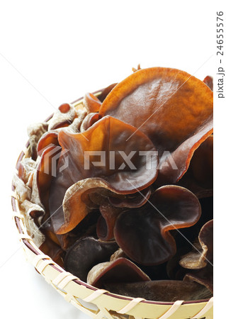 生キクラゲ9 24655576