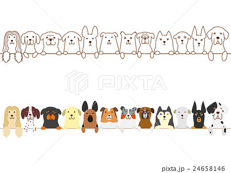犬のボーダー 24658146