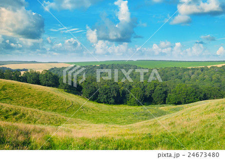 picturesque hills, forest and blue sky 24673480