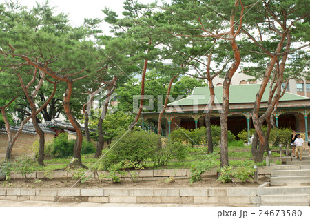 Deoksugung Palace in Seoul with trees 24673580
