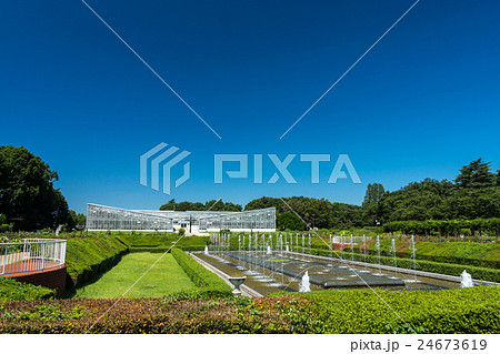 神代植物公園　温室　噴水間近 24673619