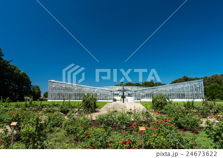 神代植物公園 バラと大温室の写真素材