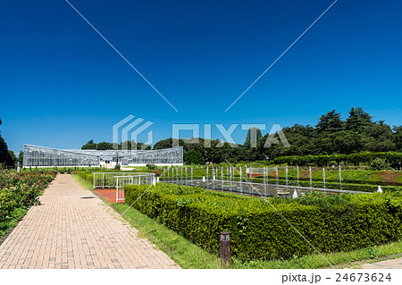 神代植物公園 青い空と噴水 神代植物公園 青い空と噴水 24673624