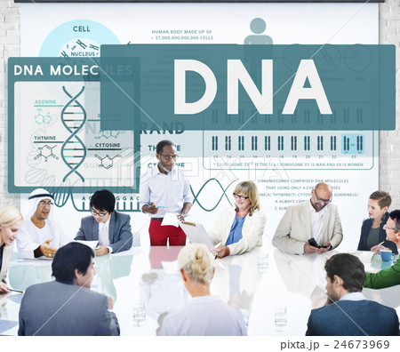 Business Team Meeting Discussion Communication Concept 24673969