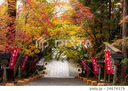 法輪寺の紅葉 24674379