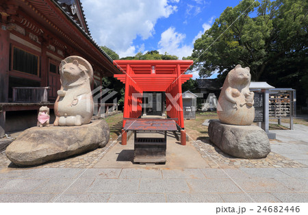 四国霊場第84番札所屋島寺本堂右、日本三名狸、四国狸の総大将太三郎狸(蓑山大明神) 四国霊場第84番札所屋島寺本堂右、日本三名狸、四国狸の総大将太三郎狸(蓑山大明神) 24682446