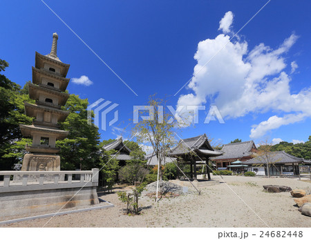 四国霊場第84番札所「屋島寺」境内 四国霊場第84番札所「屋島寺」境内 24682448
