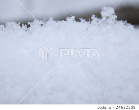 雪の結晶　「銀花、天花、六花」 24682509