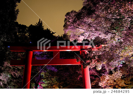 下鴨神社 下鴨神社 24684295