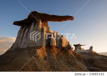 Desert Wings 24685191