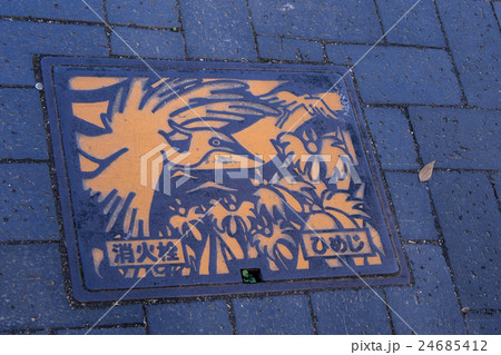 Drain cap japan style 24685412