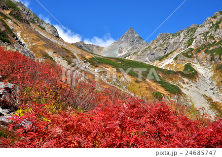 北アルプス 槍沢の秋 24685747