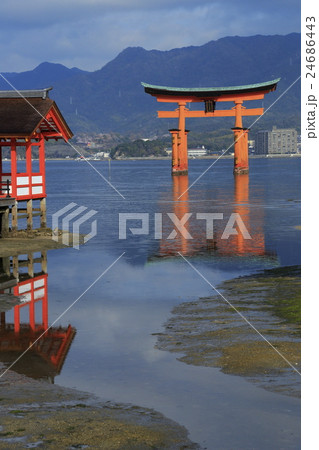 宮島厳島神社大鳥居 24686443