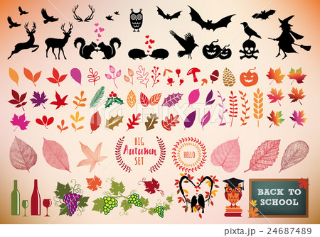 Autumn icon set, vector design elements 24687489