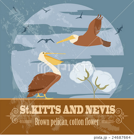 Saint Kitts and Nevis national symbols Saint Kitts and Nevis national symbols 24687664