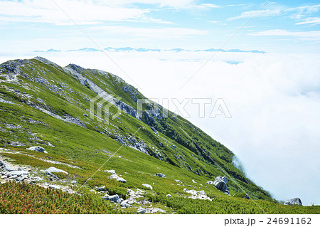夏の木曽駒ケ岳 千畳敷カール 夏の木曽駒ケ岳 千畳敷カール 24691162