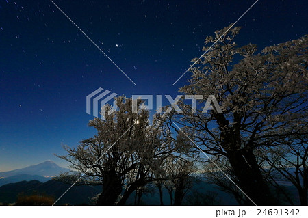 月夜の丹沢・蛭ヶ岳山頂の樹氷と富士山遠望 24691342