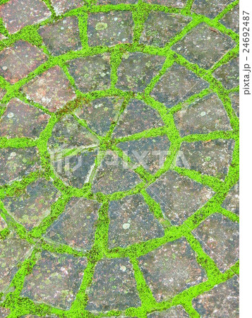 東屋に行く通路に石畳みが続いている。その石畳にコケが生え風情を出している。 24692487