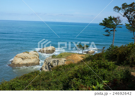 加佐の岬 加佐の岬 24692642