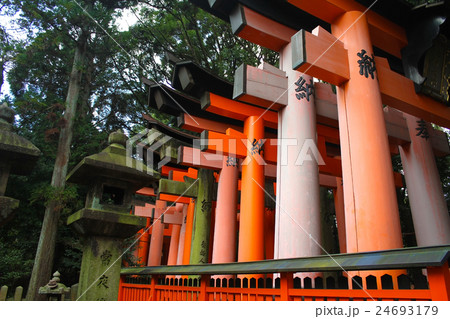 伏見稲荷大社 伏見稲荷大社 24693179