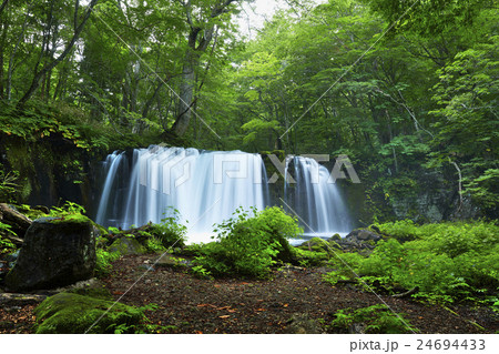 青森県 奥入瀬渓流 銚子大滝 夏 24694433