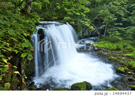 青森県 奥入瀬渓流 銚子大滝 夏 24694437