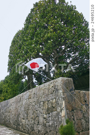 沖縄の正月、中村家入口の石垣とフクギ(縦構図) 沖縄の正月、中村家入口の石垣とフクギ(縦構図) 24695210