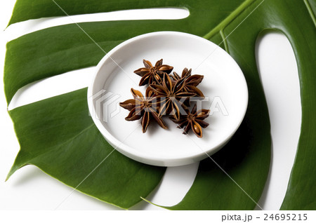 モンステラと八角 モンステラと八角 24695215