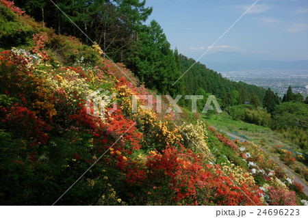 つつじ山 つつじ山 24696223