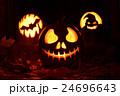 Pumpkin halloween 24696643