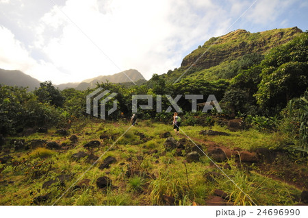 風景:山106>Hanakapi'ai Trail@USA>HI>Kauai>Kalalau 風景:山106>Hanakapi'ai Trail@USA>HI>Kauai>Kalalau 24696990
