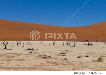 View from Dead Vlei, Namibia. Red dunes 24697079