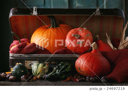 Assortment of different pumpkins in suitcase Assortment of different pumpkins in suitcase 24697219