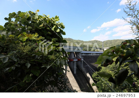 椋梨ダム 24697953