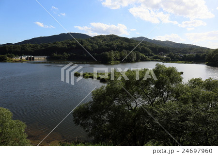 椋梨ダム 24697960