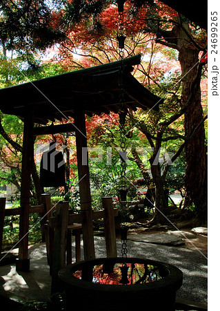 紅葉の鎌倉　覚園寺 24699265